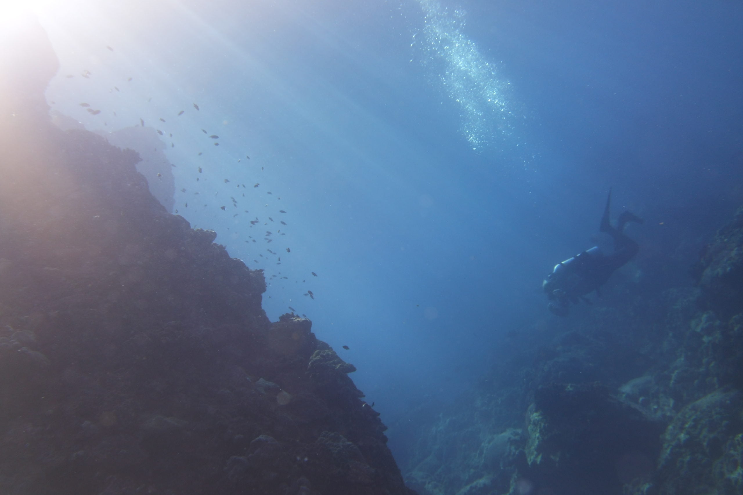 Scuba Diving