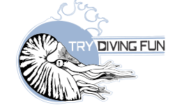 Try Diving Fun