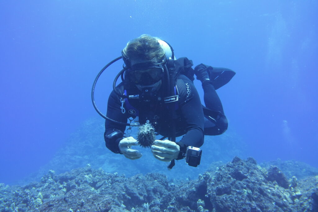 certified scuba diving guide