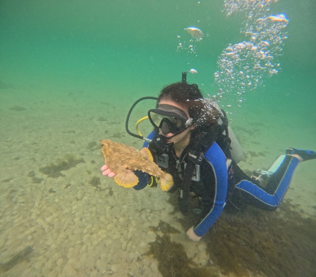 Scuba Diving for beginners