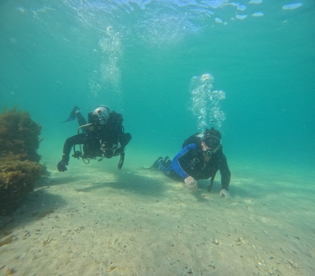 Beginner Scuba Diving